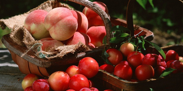 Frutta estiva: mercati pressati dall’offerta